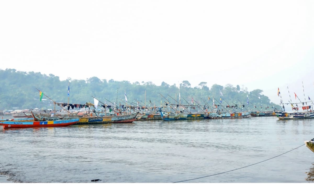 Cameroon Fishers Help Document 45 Shark & Ray Species