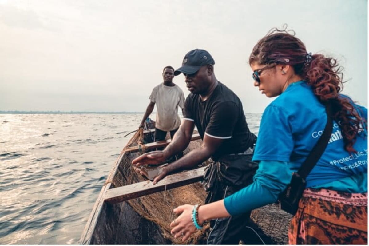 Cameroon Fishers Help Document 45 Shark & Ray Species - Image 5