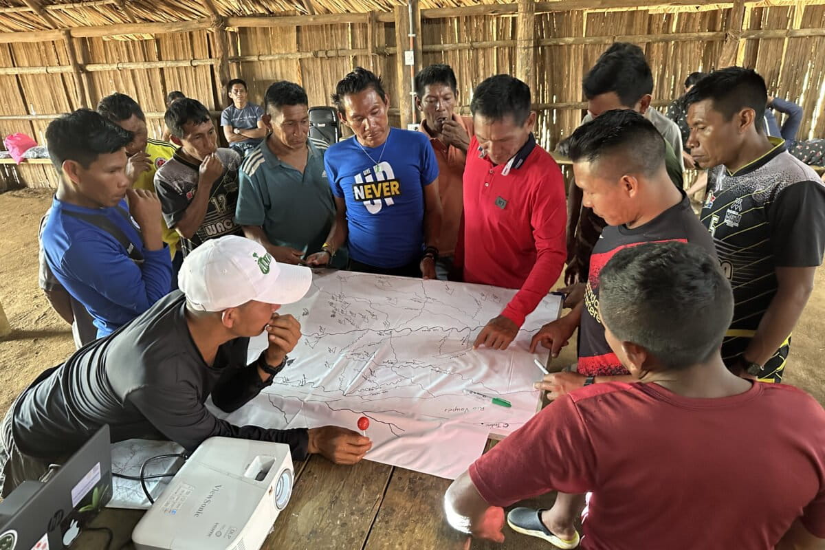 Indigenous Cacua People Co-Author New Amazon Palm Discovery - Image 2