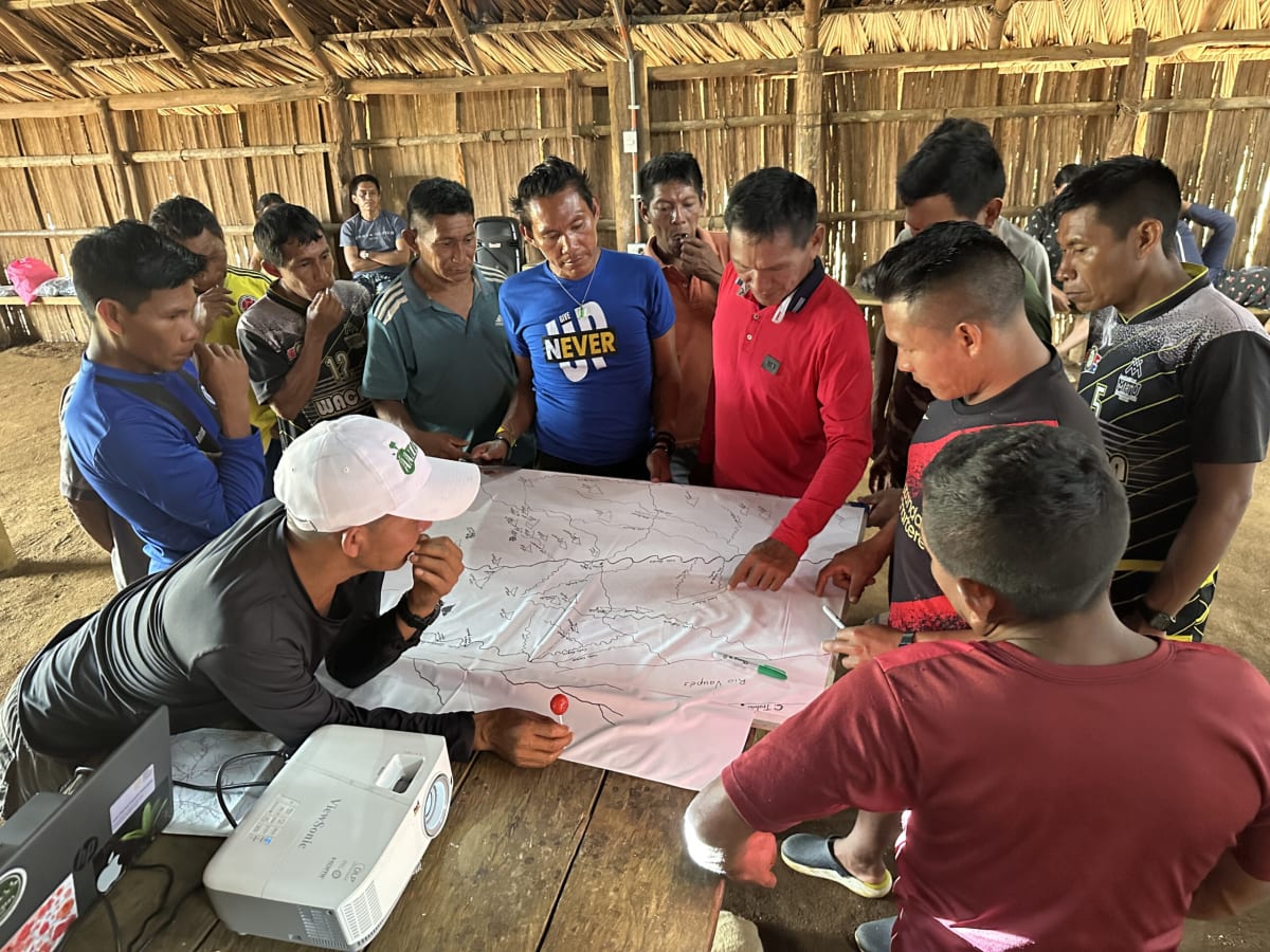 Cacua women harvesting yellowish-brown táam palm fruits in Colombian Amazon rainforest