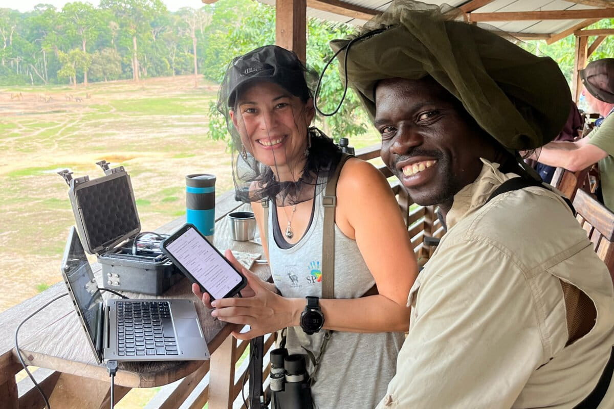 Scientists Track Rare Forest Elephants at CAR Gathering - Image 5
