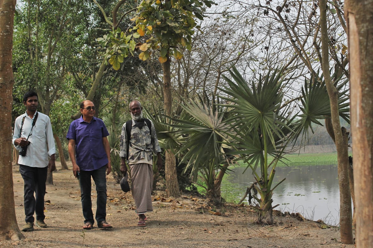 Bangladesh Engineer Restores Wetlands Against All Odds - Image 4