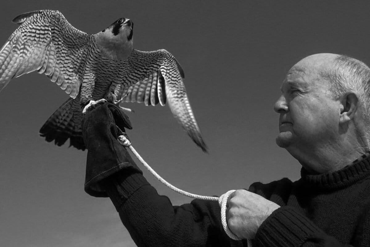 Scientist Helped Bald Eagles Soar Back in Virginia - Image 2