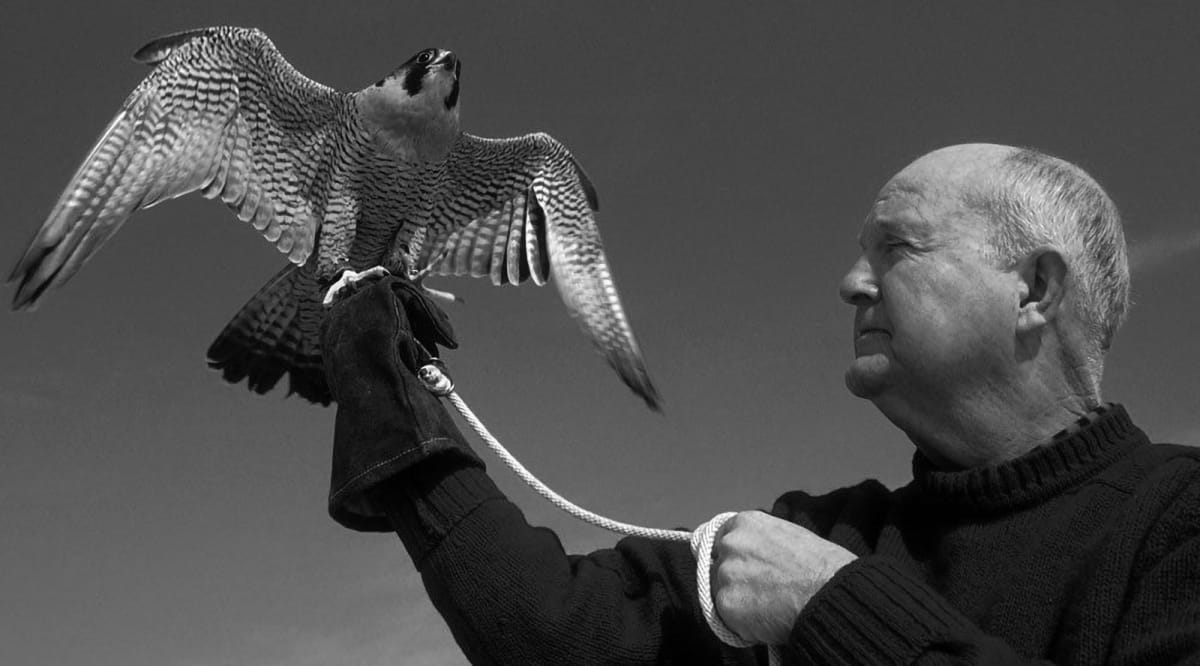 Ornithologist Mitchell Byrd looking upward, dedicated to decades of bald eagle conservation work