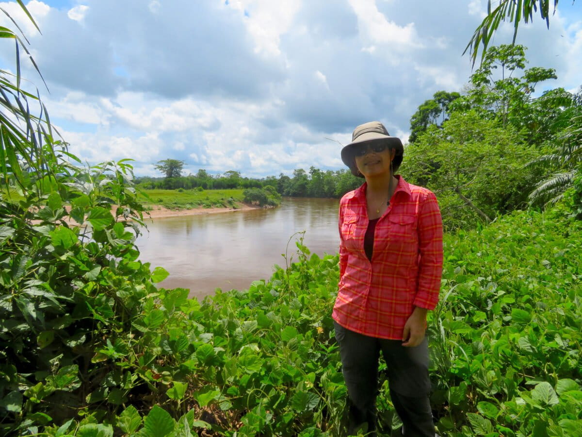 How Satellites and Reporters Team Up to Fight Amazon Crime - Image 3