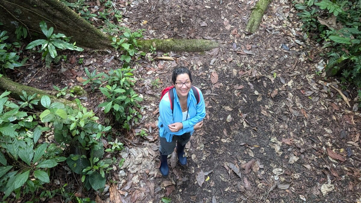 How Satellites and Reporters Team Up to Fight Amazon Crime - Image 4