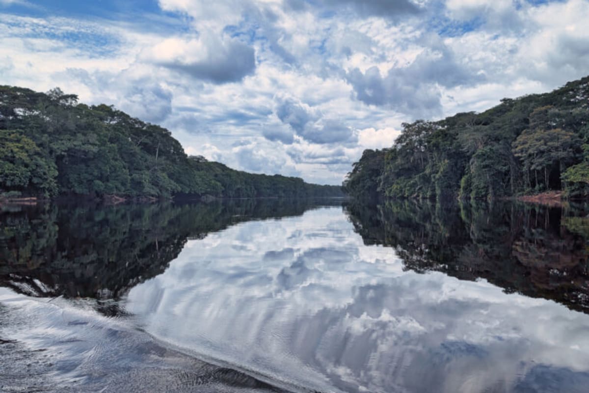 70-Year-Old Takes On Africa's Largest Rainforest Park - Image 3