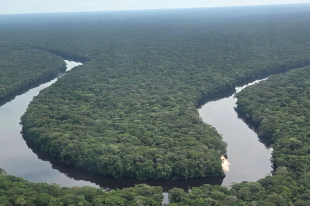 70-Year-Old Takes On Africa's Largest Rainforest Park - Image 5