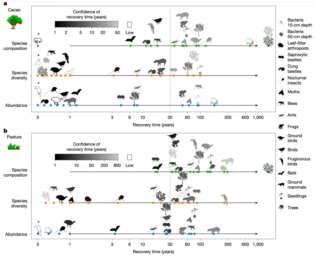 Tropical Forests Regrow in Decades, Study Finds - Image 4