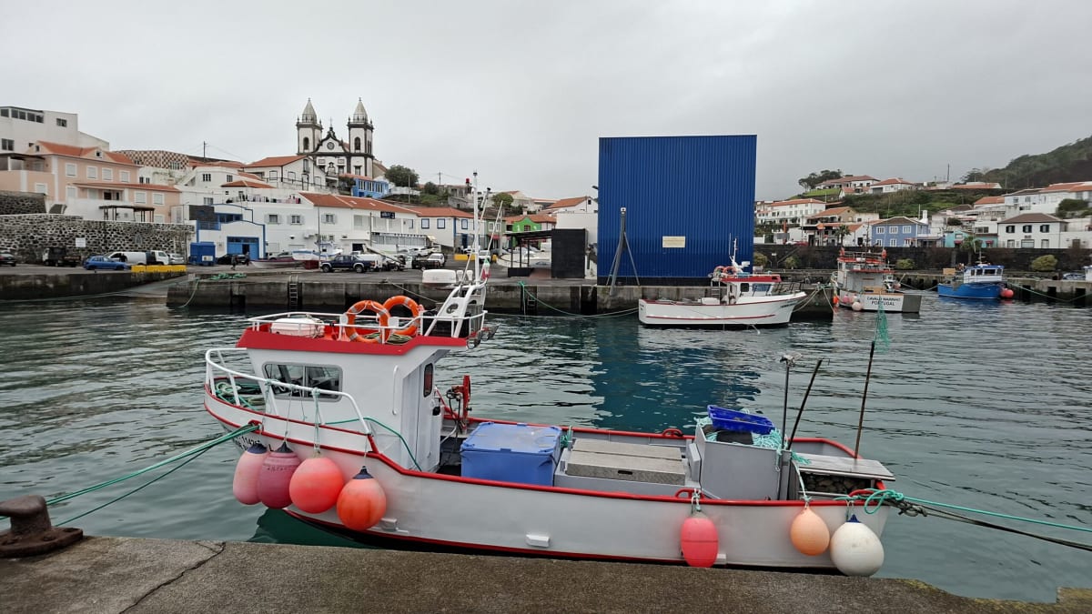 Azores Creates North Atlantic's Largest Ocean Sanctuary - Image 5
