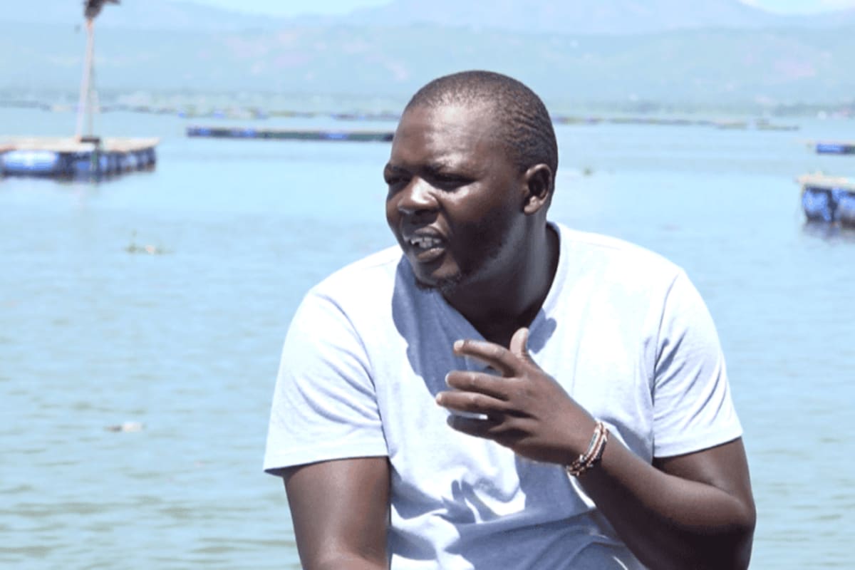 Kenya Youth Revive Lake Victoria Wetland for Rare Birds - Image 2