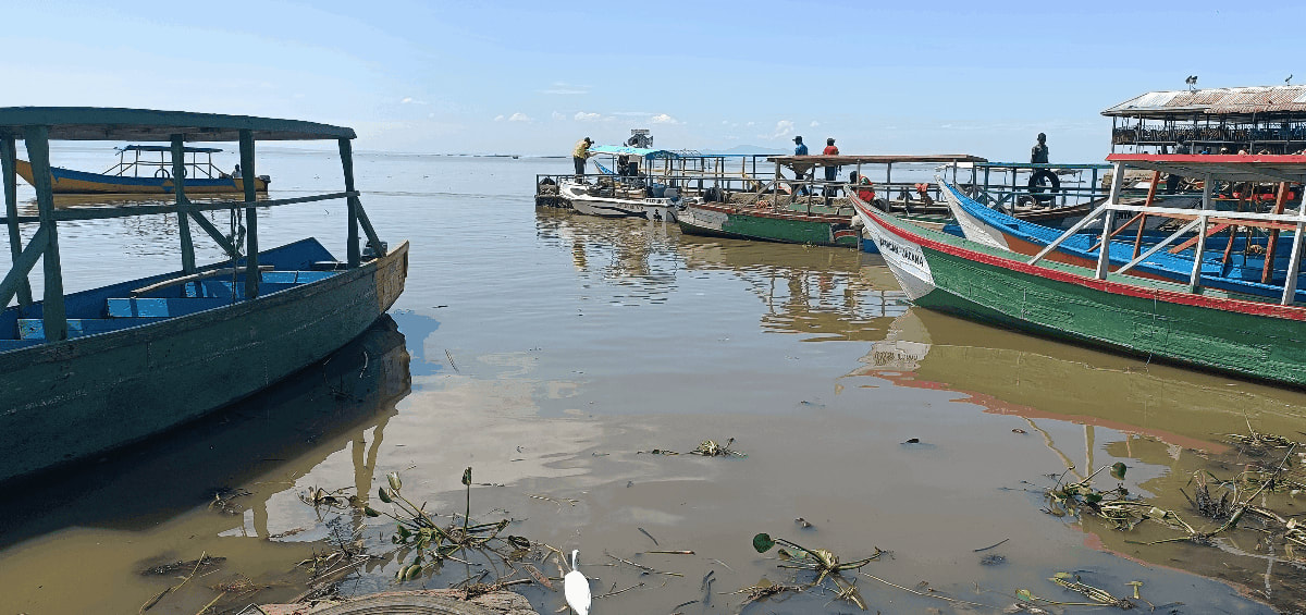 Bird-watching guide Victor Ochieng' Didi leads tourists along wooden boardwalk at Kenya's Dunga wetland