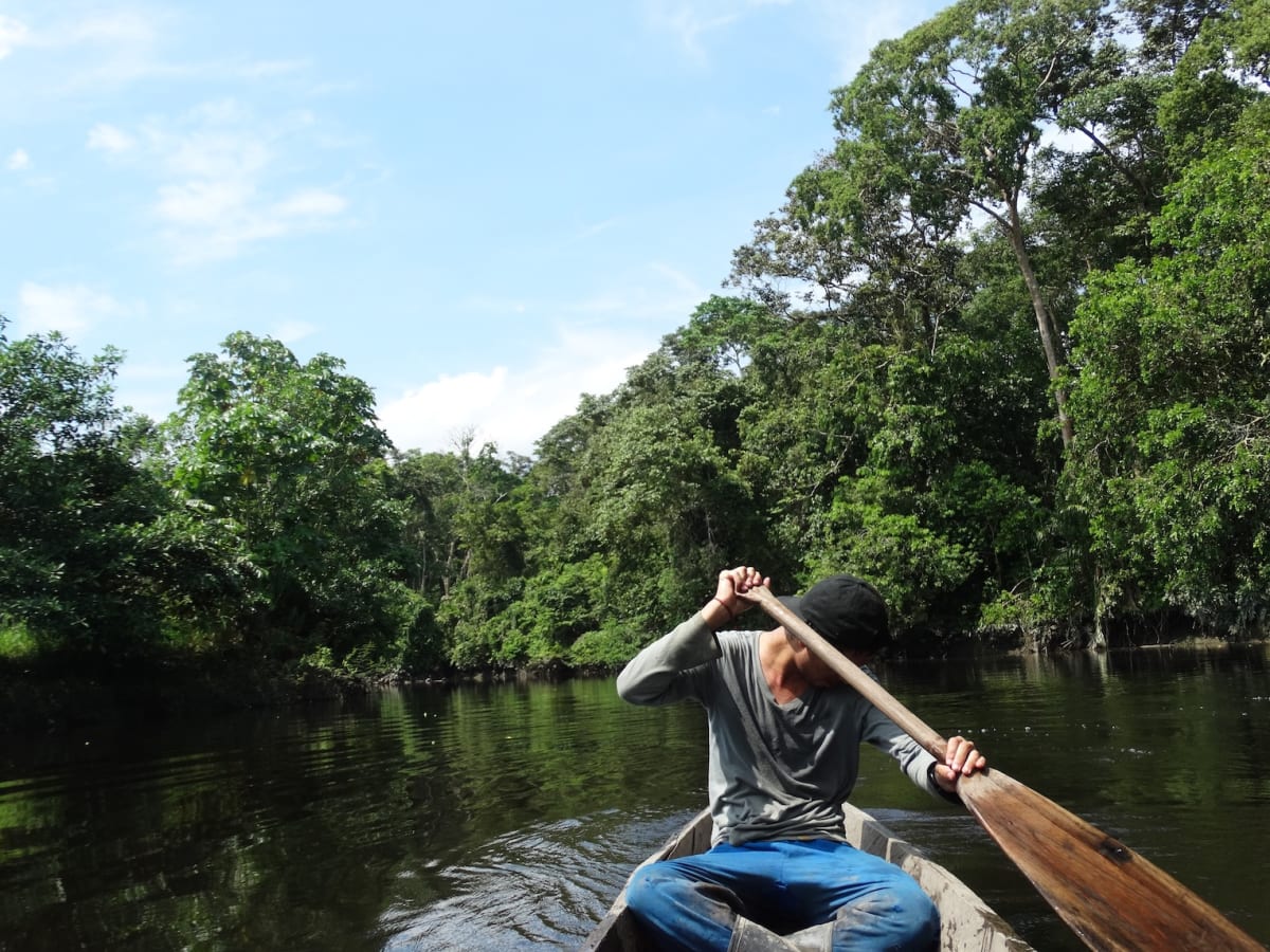 Researcher Solves Night Monkey Mystery in Colombia - Image 5