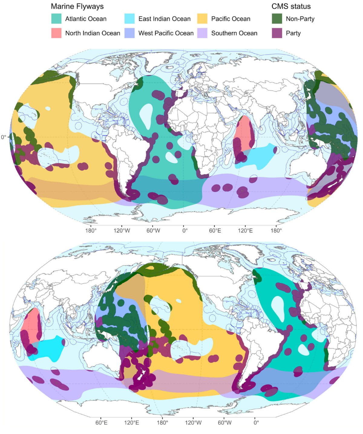 Scientists Map Ocean Highways to Save Declining Seabirds - Image 5