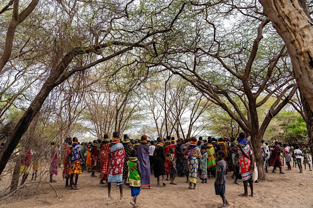 Kenya's Churches Join Forces to Protect Forests