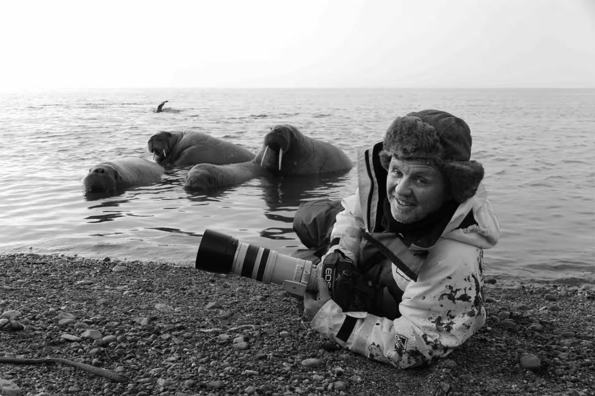 Wildlife cameraman Doug Allan with camera equipment in snowy polar environment