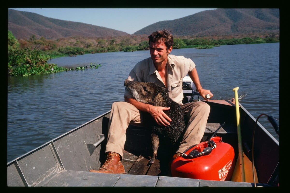 Biologist George Schaller Changed How We See Wild Animals - Image 2