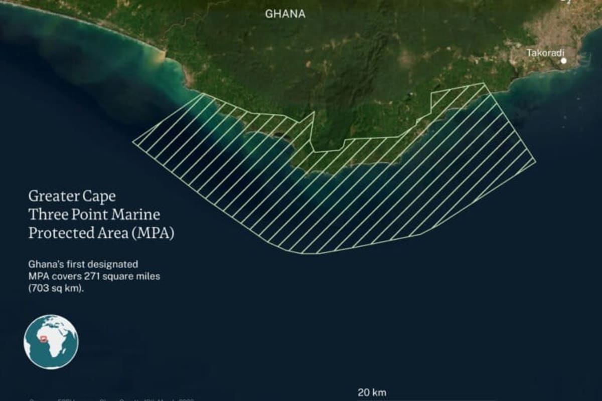 Ghana Creates First Marine Protected Area After 15 Years - Image 4