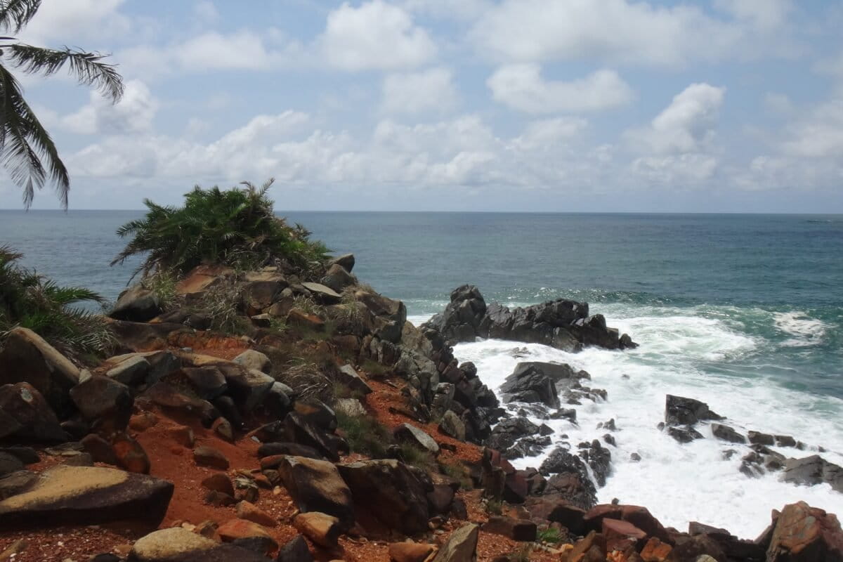 Ghana Creates First Marine Protected Area After 15 Years - Image 2