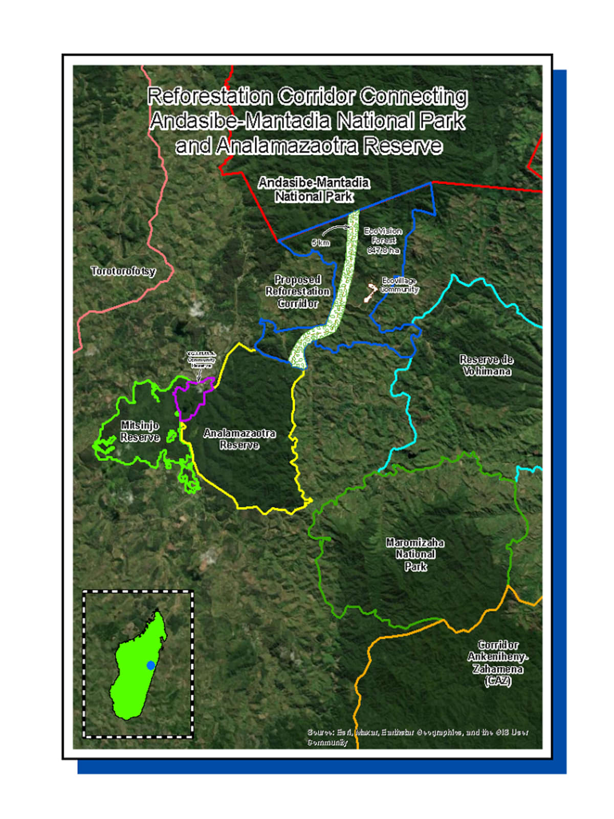 Madagascar Plants 70-Hectare Forest Corridor for Lemurs - Image 3