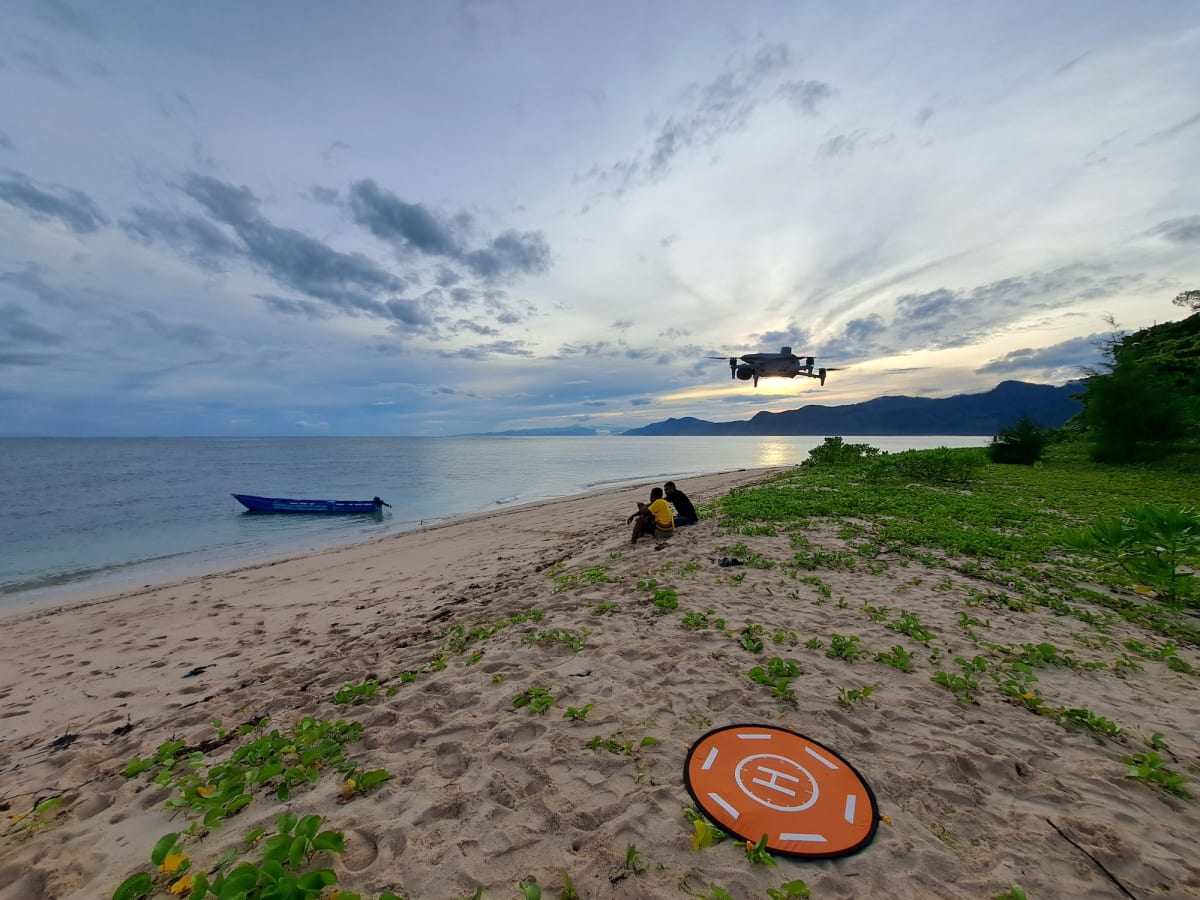 Drones Help Scientists Track Vulnerable Sea Cows - Image 5
