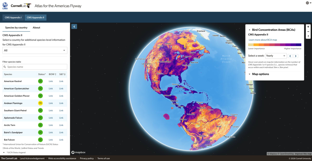 New Atlas Maps 89 At-Risk Bird Species Across Americas - Image 4