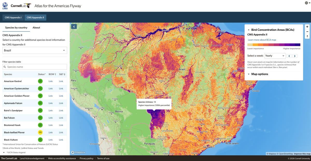 New Atlas Maps 89 At-Risk Bird Species Across Americas - Image 5