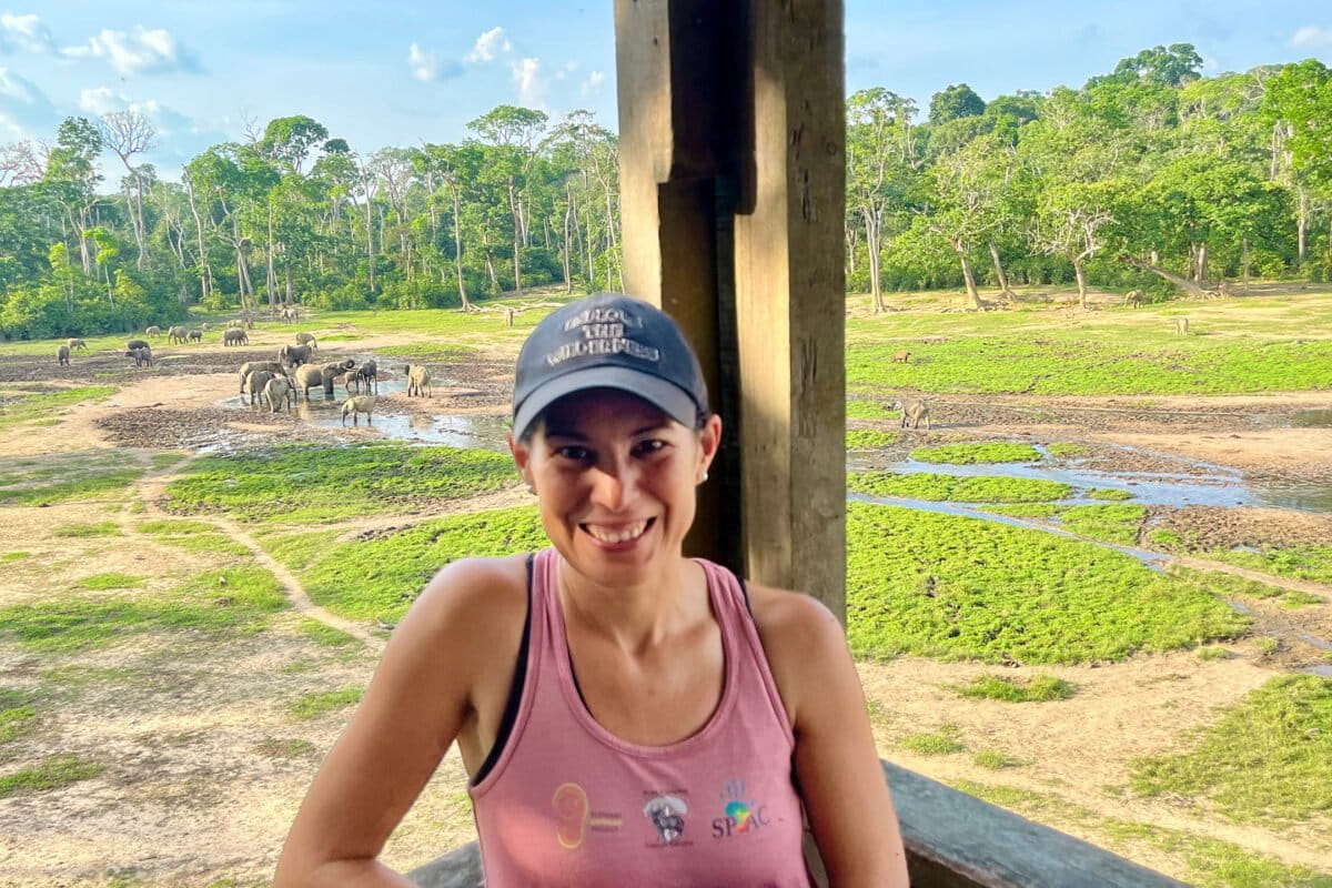 Scientists Track Rare Forest Elephants at CAR Gathering - Image 2