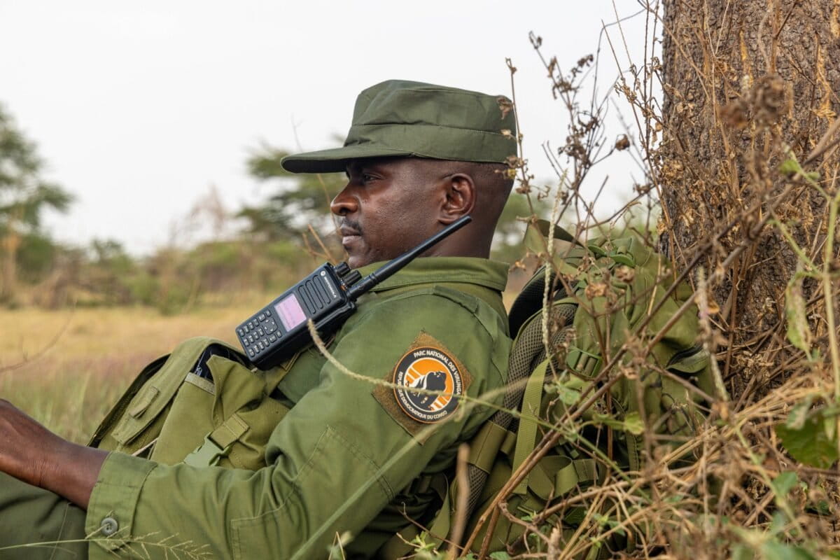 Congo Park Lifts 40,000 Homes From Poverty With Clean Power - Image 2