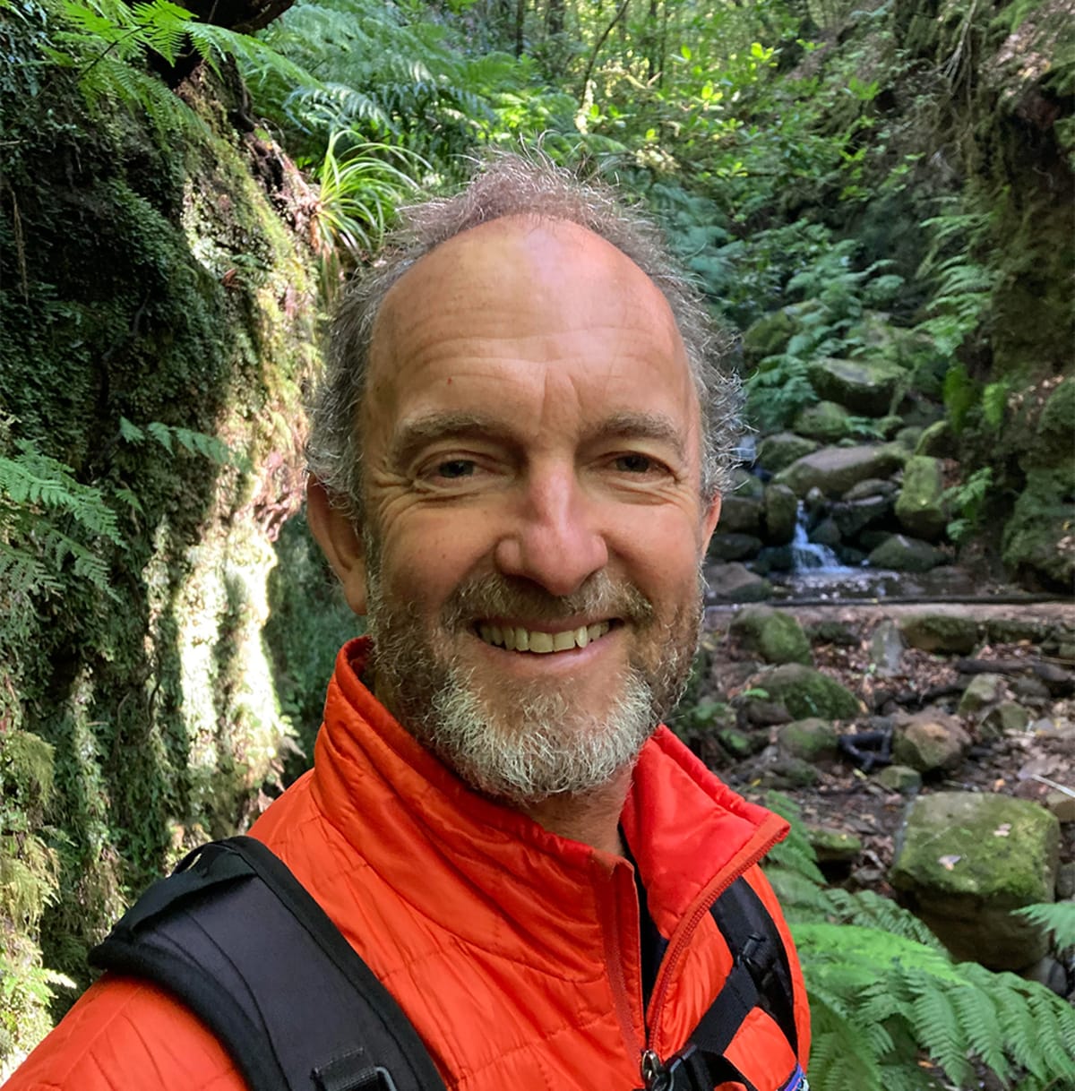 300 Groups Unite to Rewild 2 Million Square Kilometers - Image 4