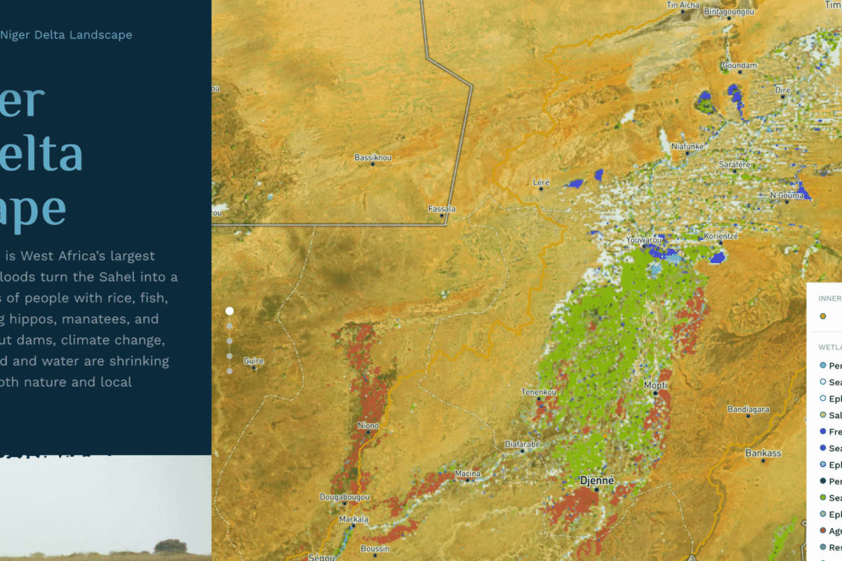 New Atlas Helps Save Africa's Vital Wetlands - Image 2