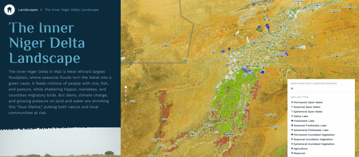 New Atlas Helps Save Africa's Vital Wetlands