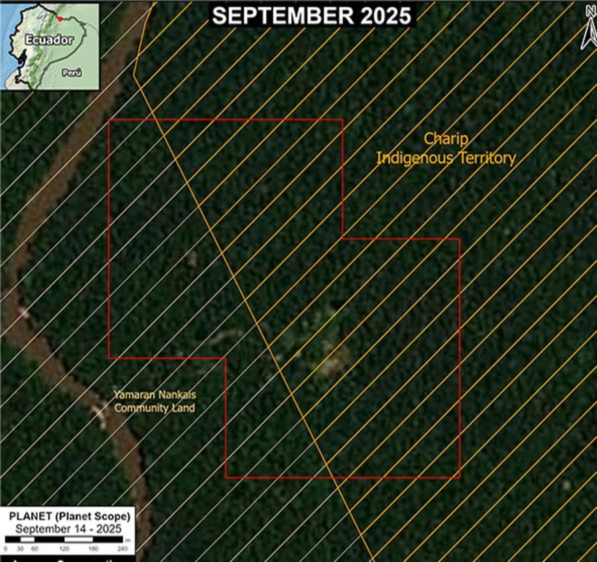 New AI Tool Exposes Illegal Amazon Gold Mining in Real Time - Image 5