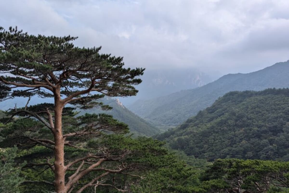 Young Conservationists Build Hope Amid Climate Crisis - Image 4