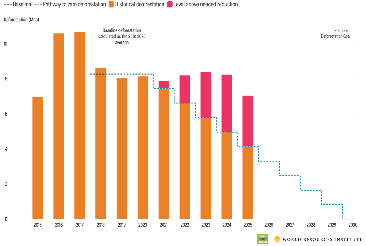 Tropical Forest Loss Drops 36% in Hopeful Climate Win - Image 5