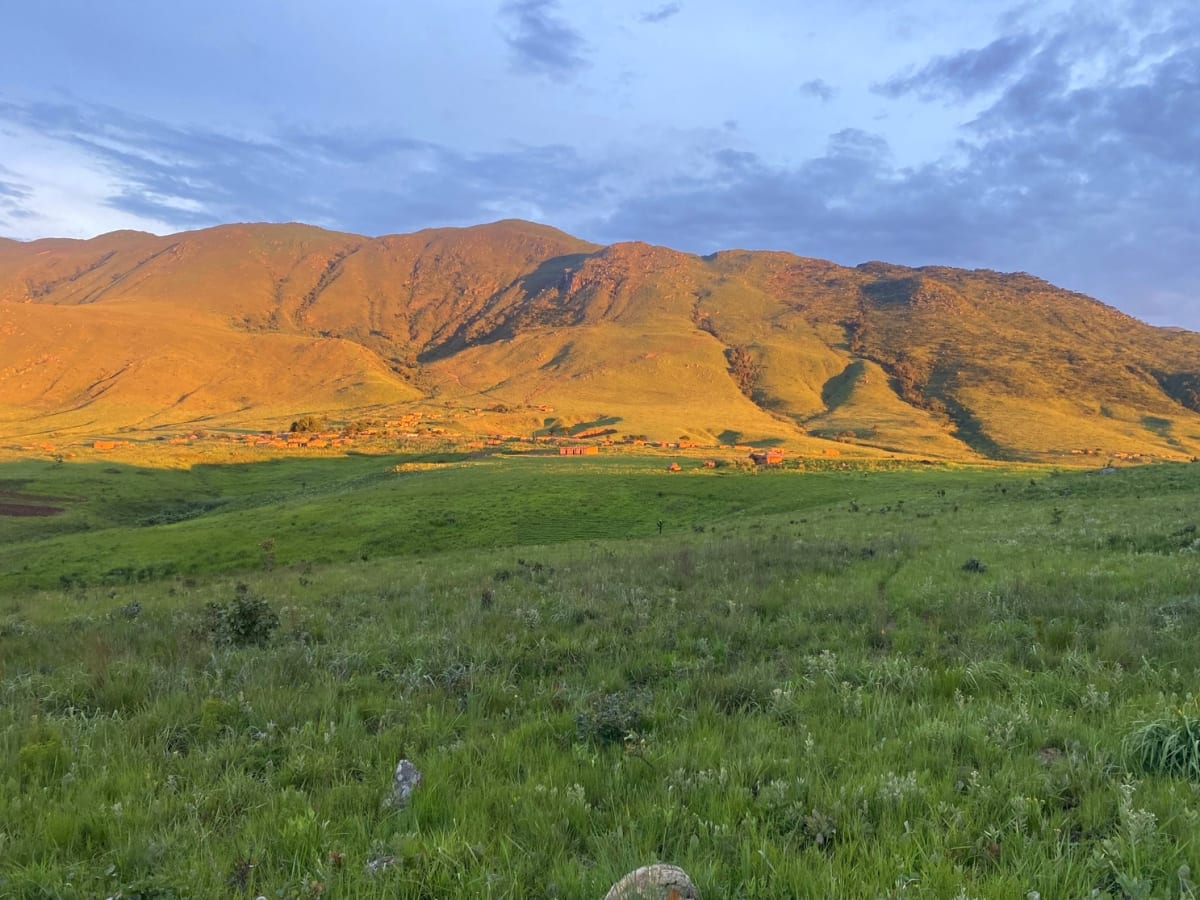 Angola Protects Its Highest Peak and Rare Birds