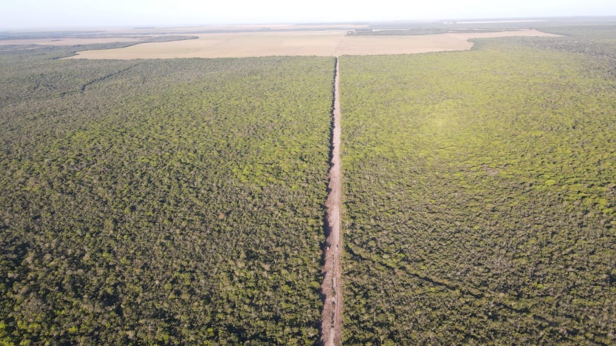 Brazil Pays Farmers to Protect Forests They Can Legally Cut