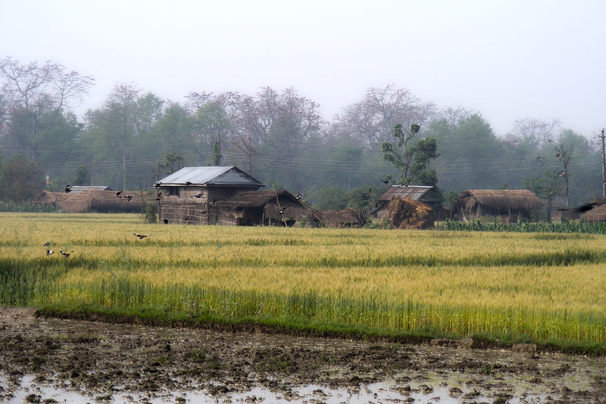 Ancient Clay Pots Keep Nepal's Crops Safe From Climate Change - Image 5