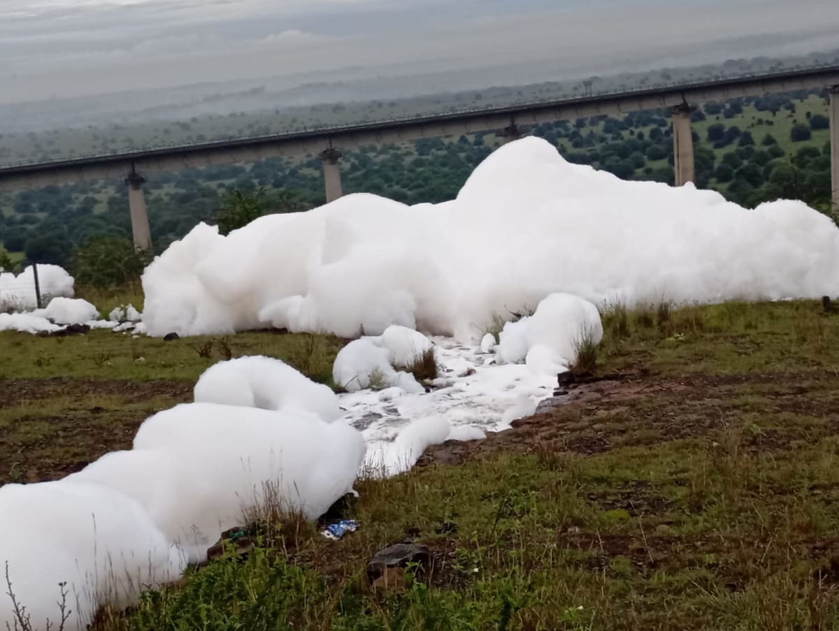 Kenya Launches Swift Response to Protect Nairobi Wildlife Park