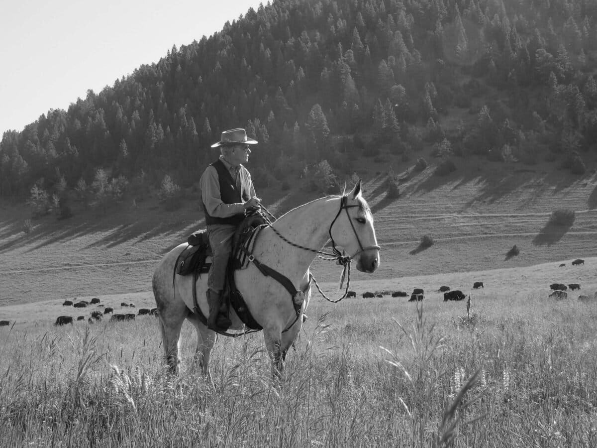 Ted Turner Restored 2 Million Acres After Building CNN - Image 5