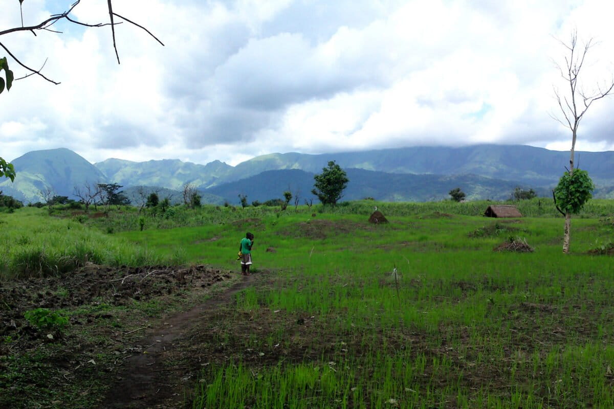 Liberia's Rangers Find Hope in Abandoned Iron Mines - Image 2