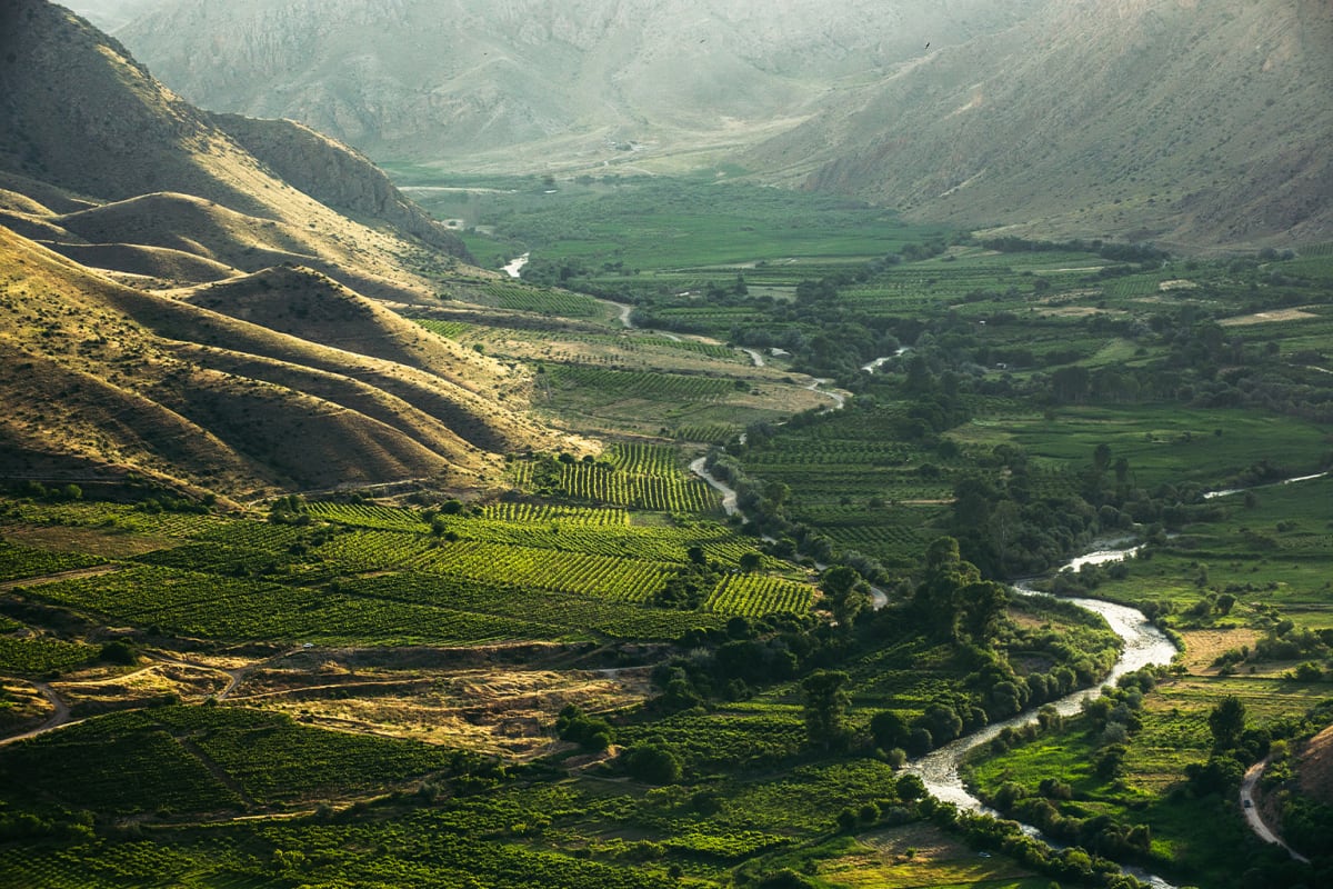 Armenia Revives 6,000-Year-Old Wine Heritage Organically - Image 4
