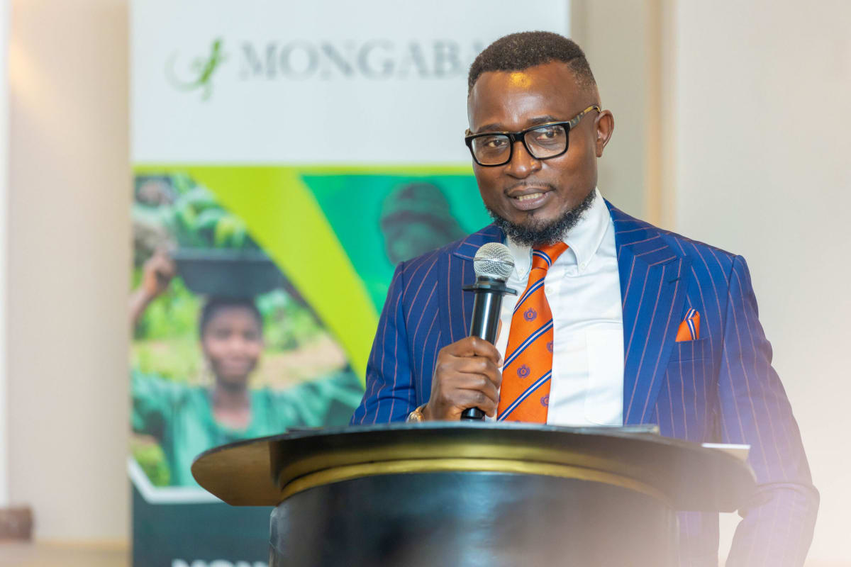 Africa Attracts $31B in Clean Energy Investment - Image 3