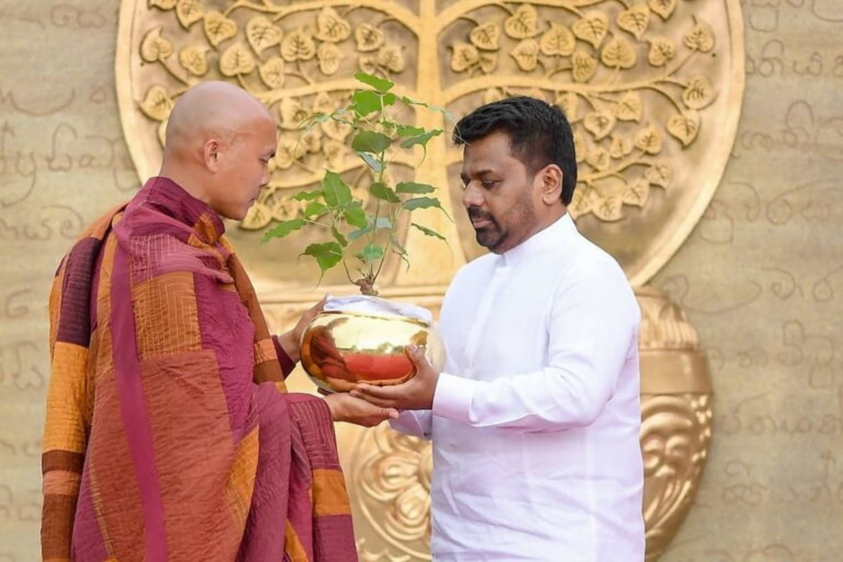 2,300-Year-Old Sacred Tree Arrives in Texas from Sri Lanka - Image 5