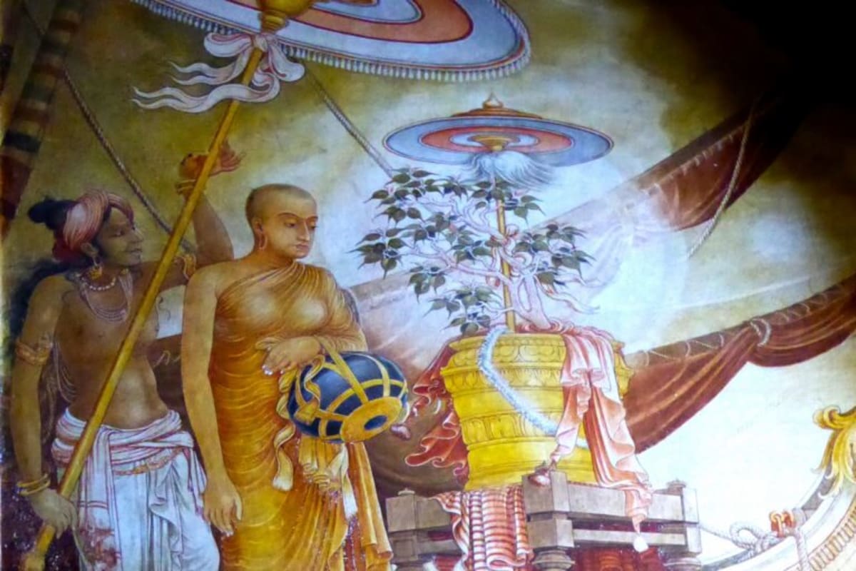 2,300-Year-Old Sacred Tree Arrives in Texas from Sri Lanka - Image 4