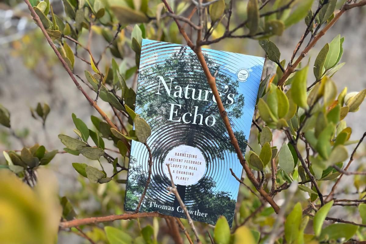 Ecologist Shows How Nature's Feedback Loops Can Heal Earth - Image 4