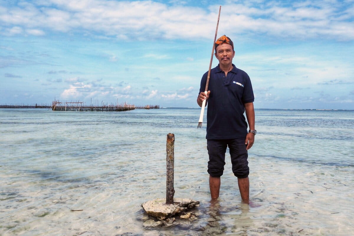 Indonesia Protects 71 Million Acres of Indigenous Lands - Image 2
