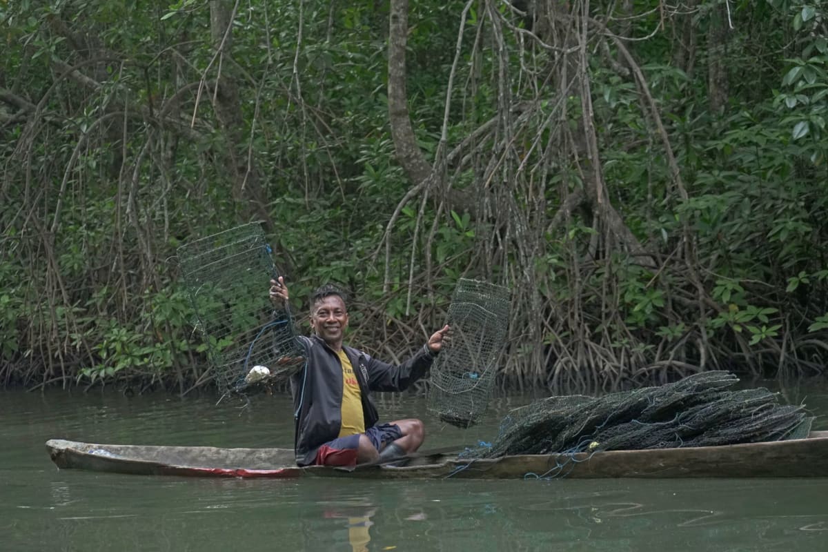 Indonesia Protects 71 Million Acres of Indigenous Lands - Image 4