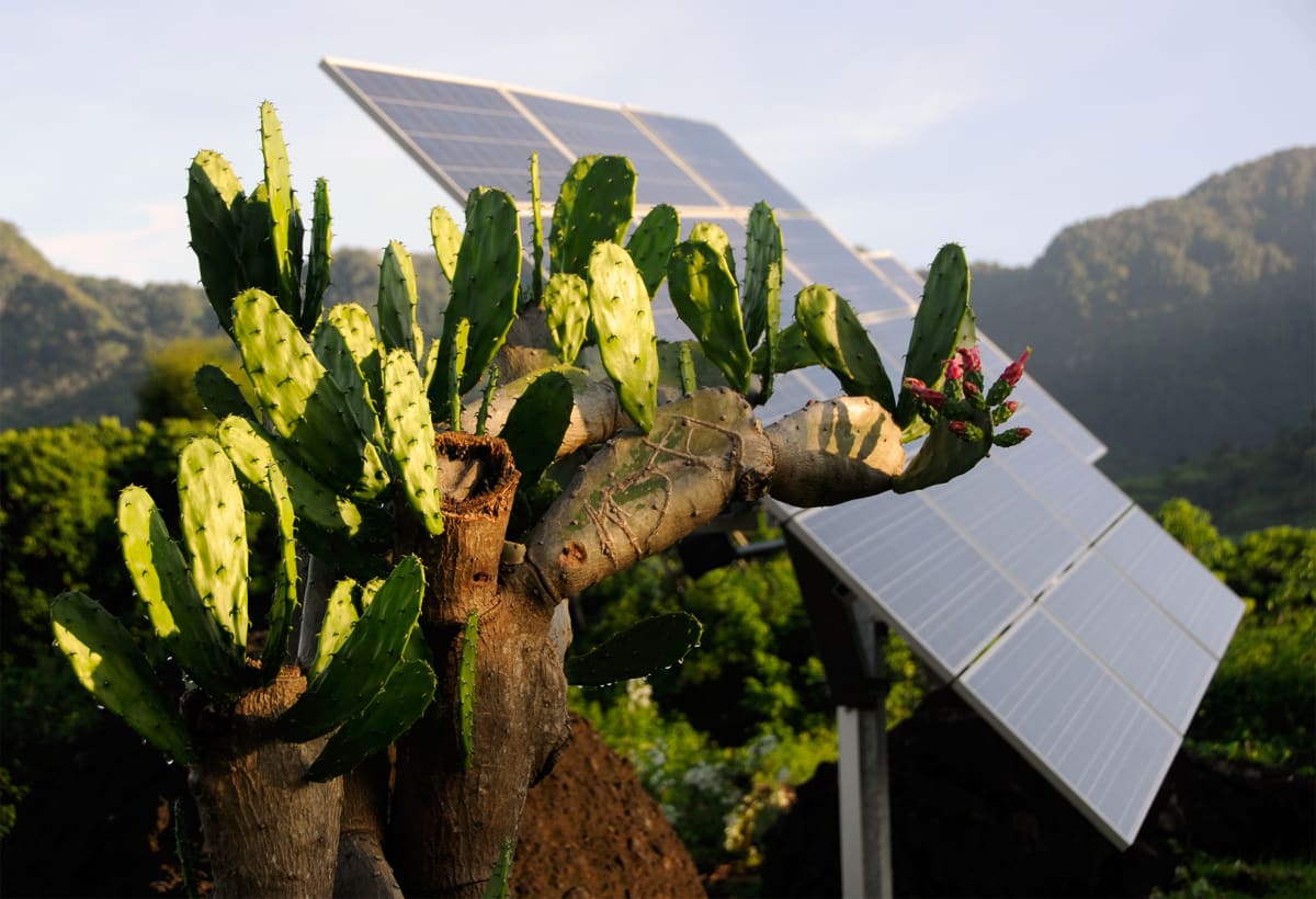 Rows of solar panels installed on wooden structure in riverside village of Muara Enggelam, Borneo