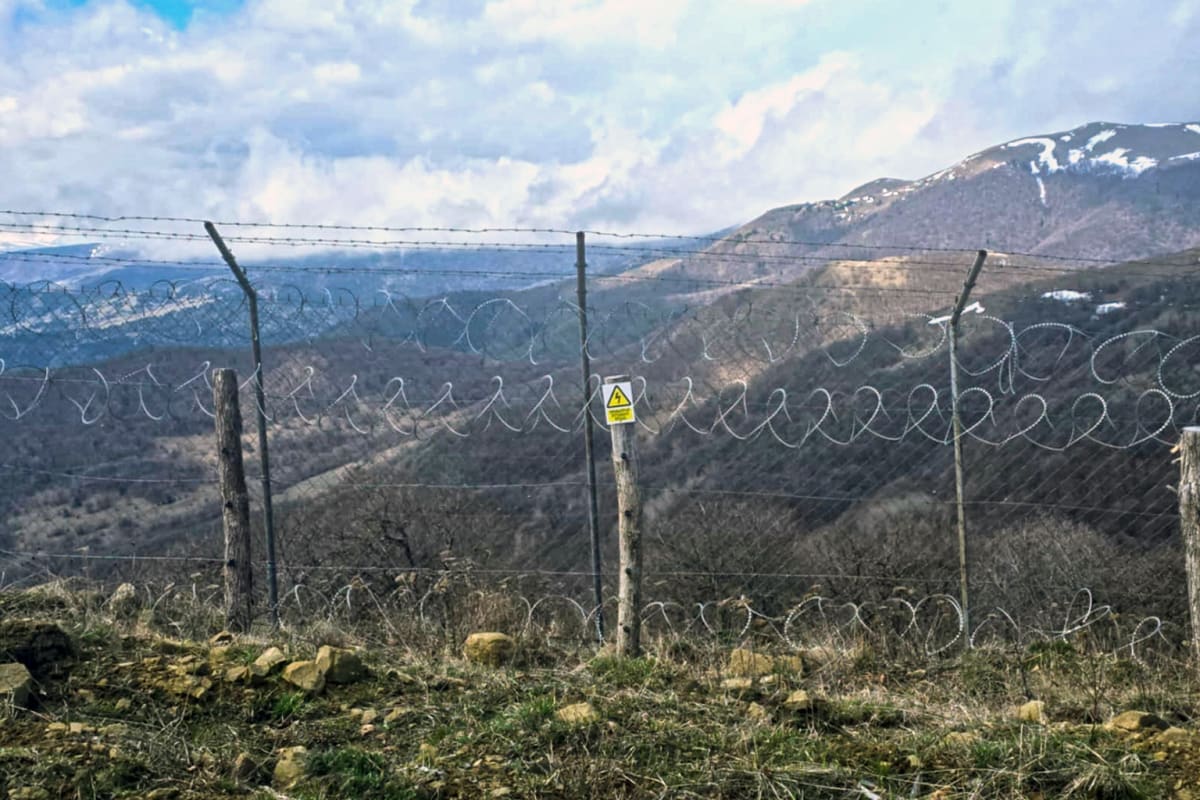 Three-Legged Leopard Crosses Borders, Gives Hope to Species - Image 5